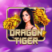 Dragon Tiger d9d9 game live casino