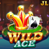 Wild Ace d9d9 game slot
